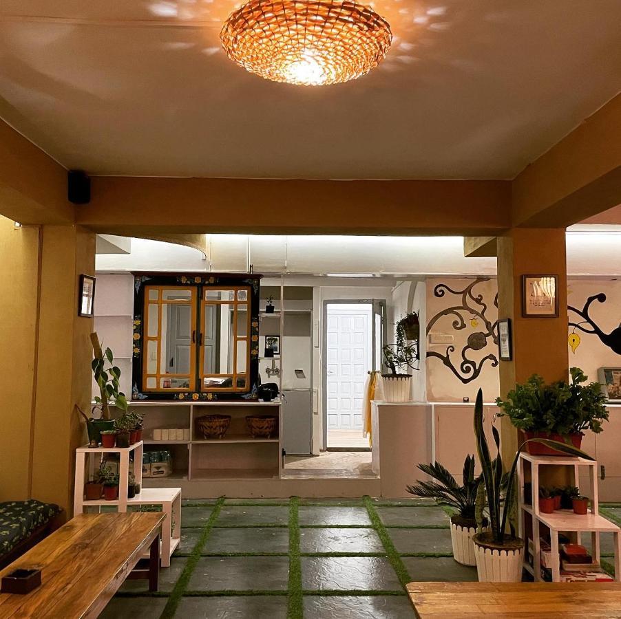 Mellow Fellow Hostel 강토크 외부 사진